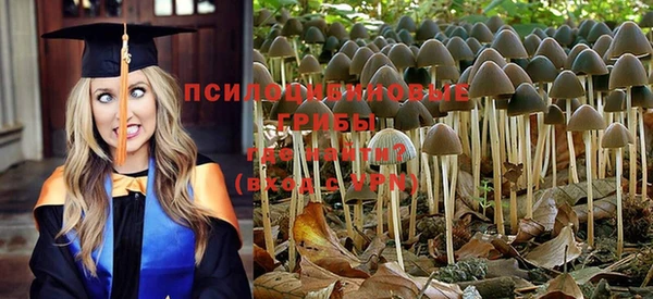спиды Абаза