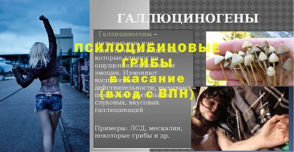 спиды Абаза