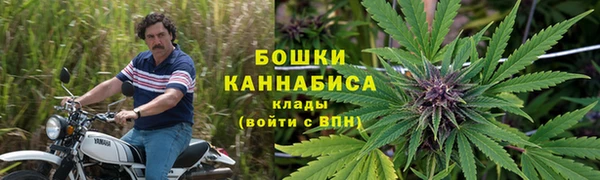 СК Алзамай