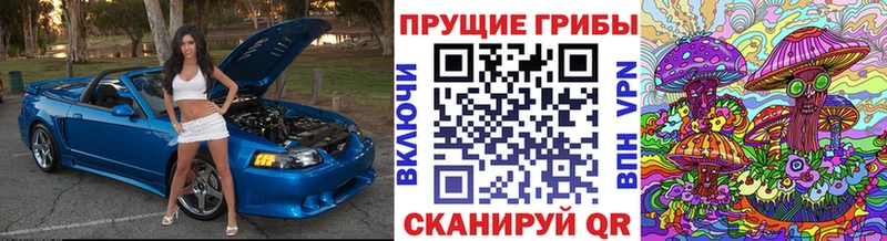 мега как зайти  Звенигород  Галлюциногенные грибы Magic Shrooms  продажа наркотиков 